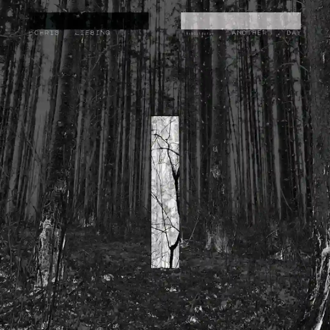 Whispers and Wires cover