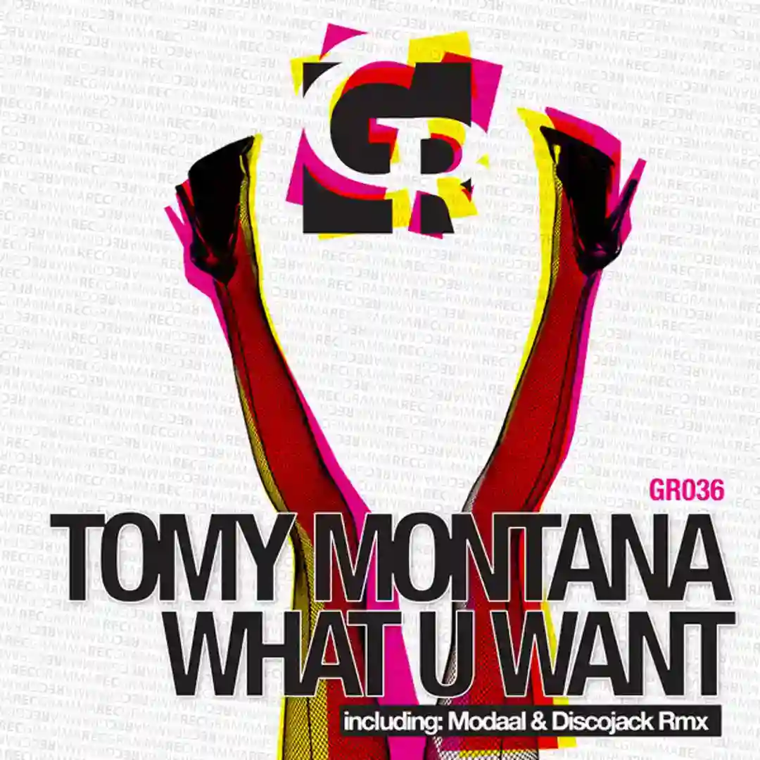What U Want (Incl. Modaal & Discojack Rmx) (Modaal and Discojack Rmx) cover