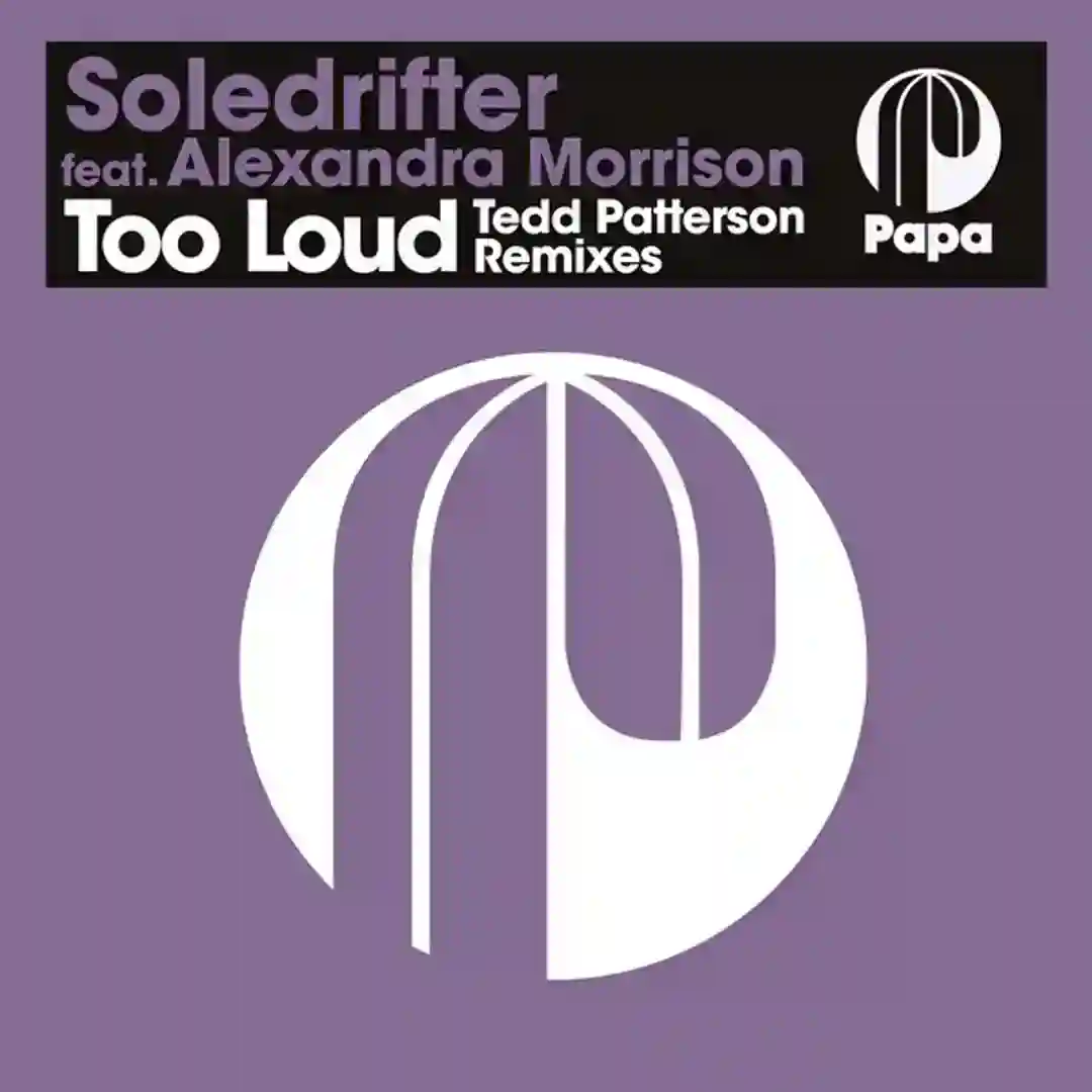 Too Loud (Tedd Patterson Remixes) cover