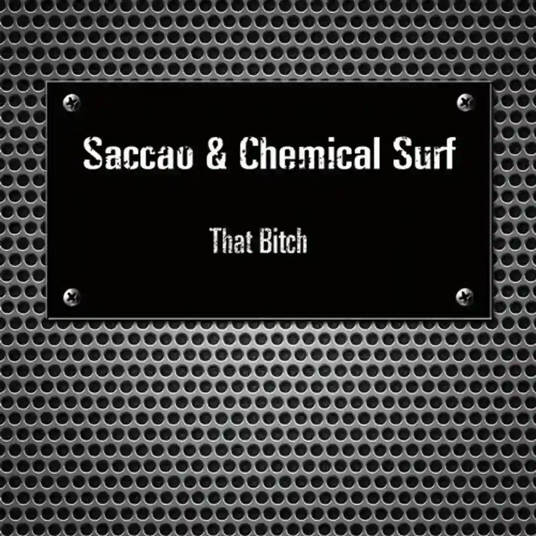 That Bitch (Vijay, Sofia Zlatko Remix) cover