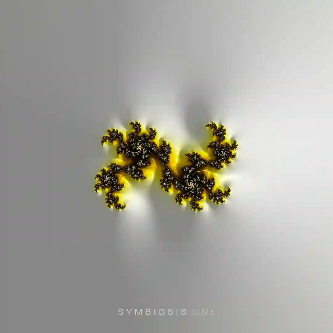 Place Of Origin cover