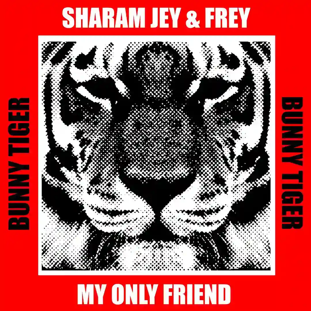 My Only Friend (Extended Mix) cover
