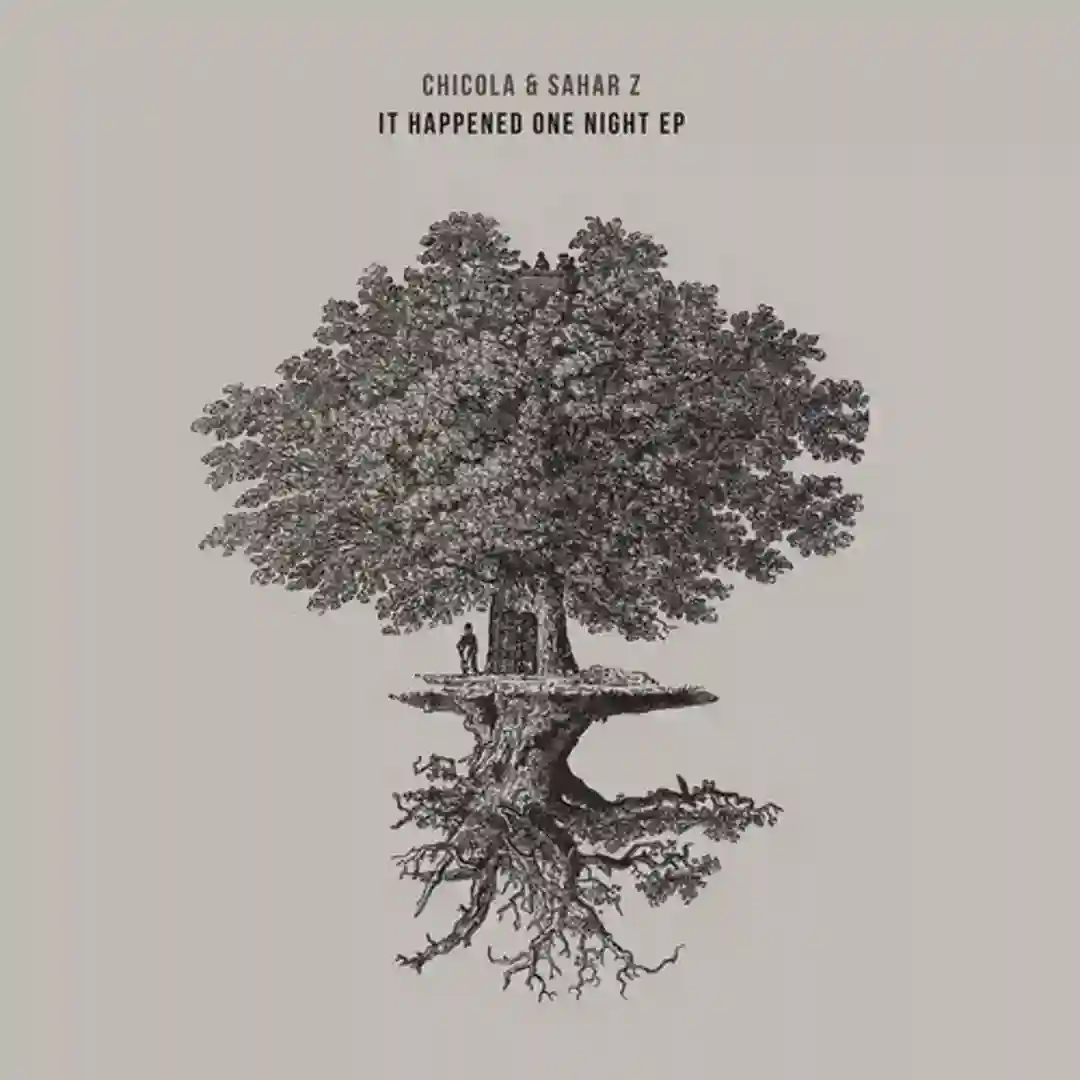 It Is What It Is (Original Mix) cover