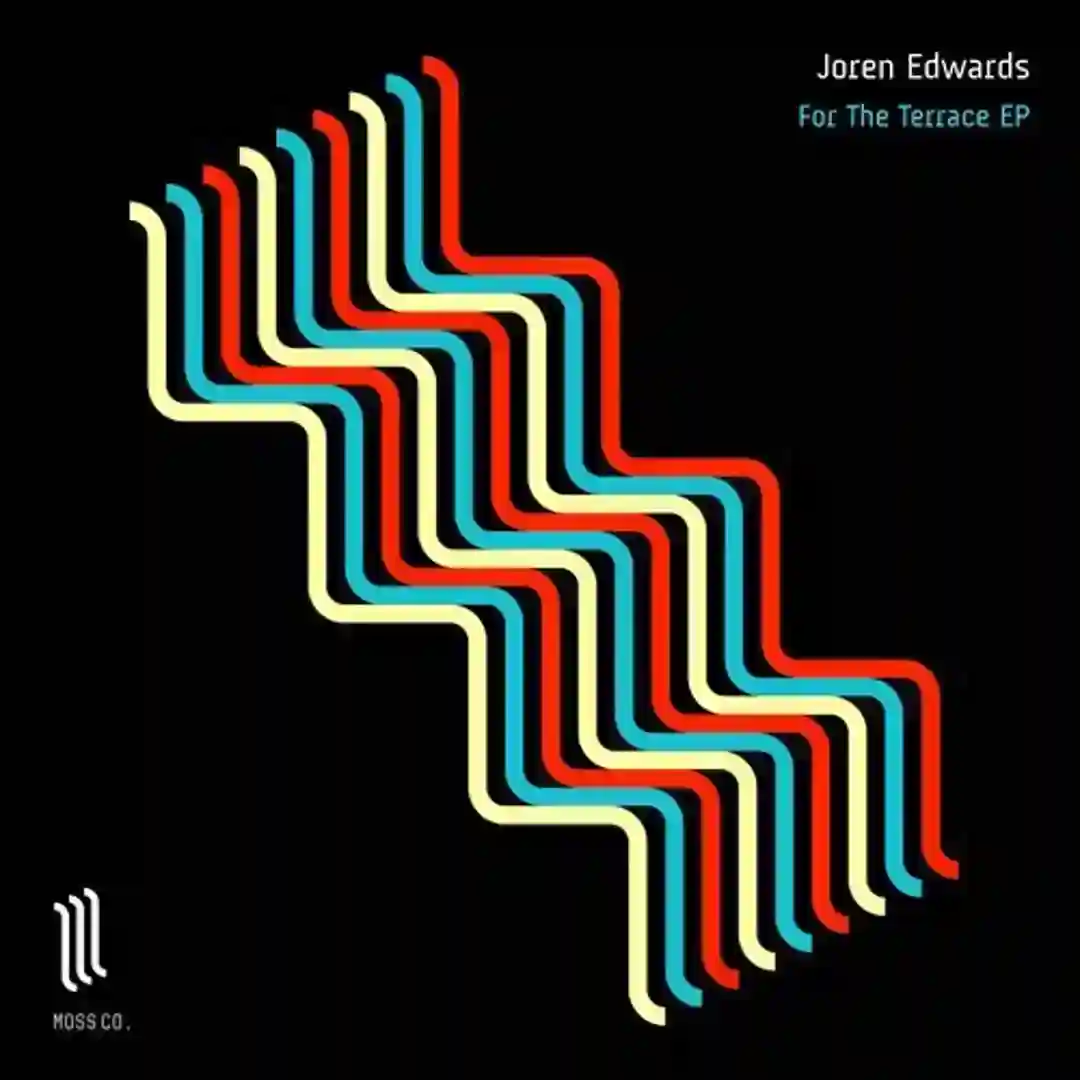 For The Terrace (Original Mix) cover