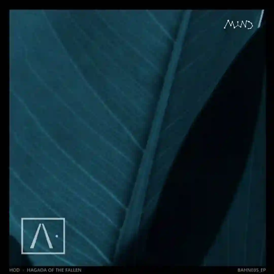 Endless Paradox (Original Mix) cover