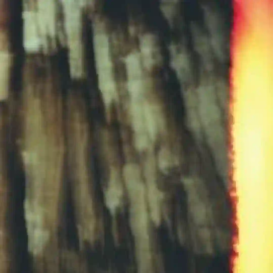 TMTT cover
