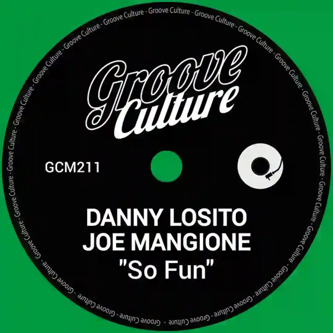 So Fun (Instrumental Mix) cover