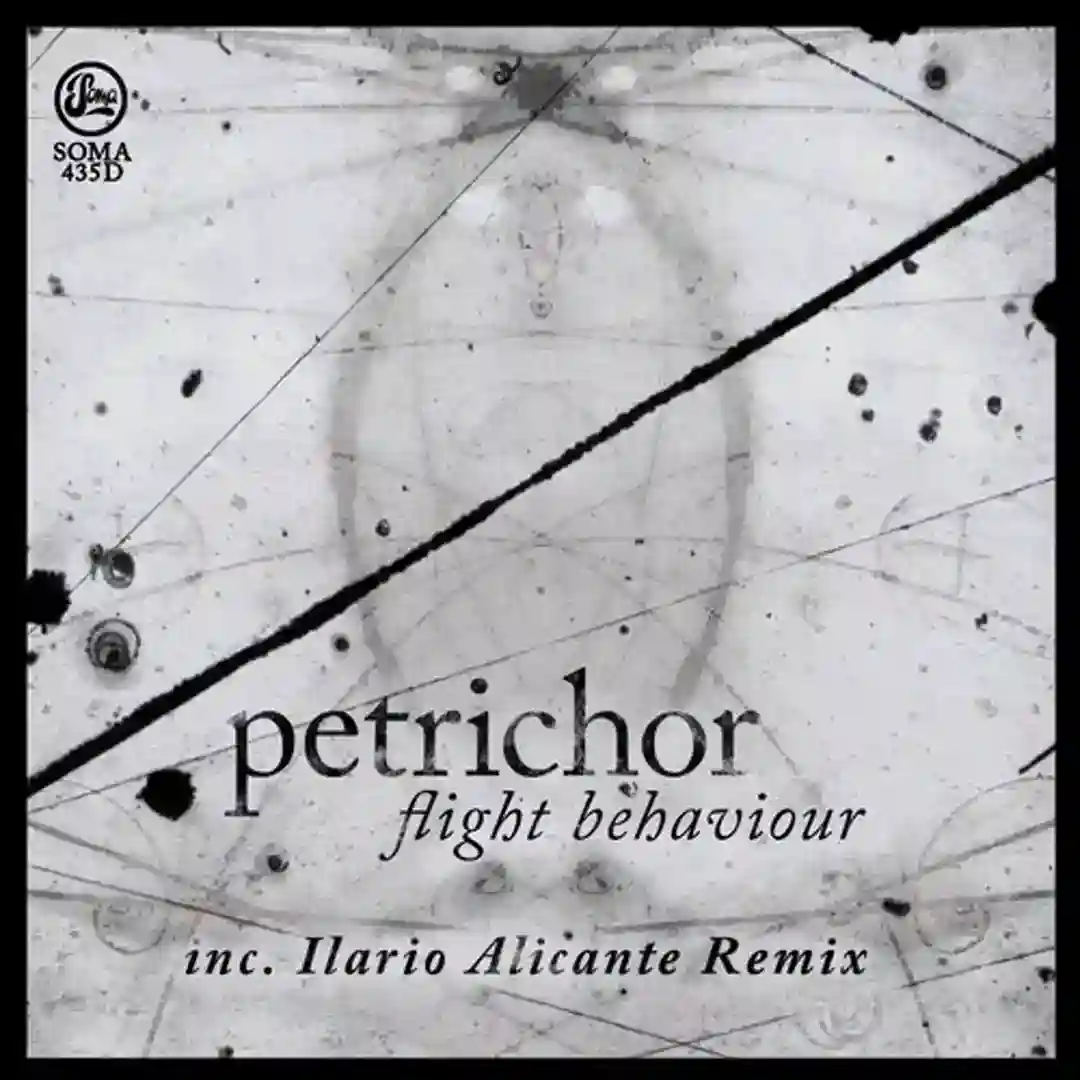 State Function (Ilario Alicante Remix) cover