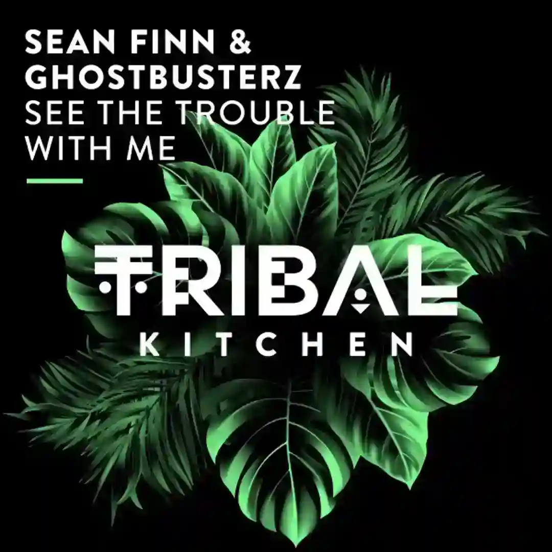 See the Trouble with Me cover