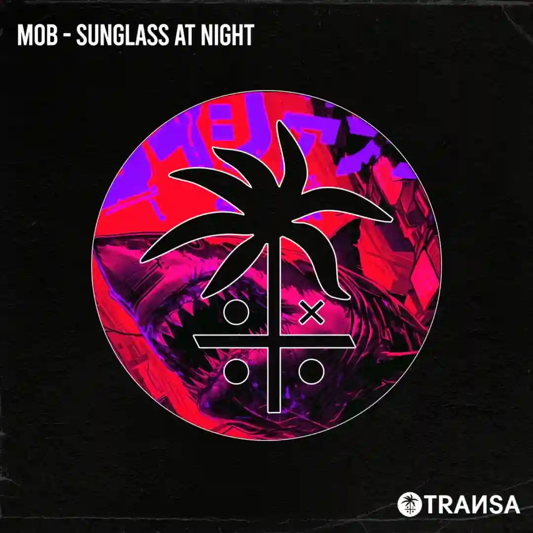 Sunglass At Night cover
