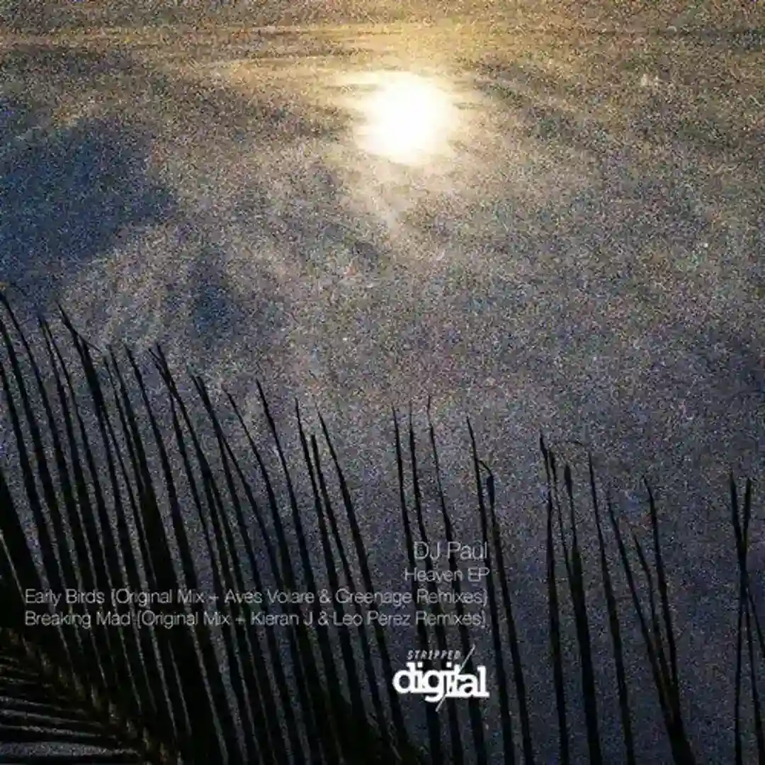 Early Birds (Original Mix) cover