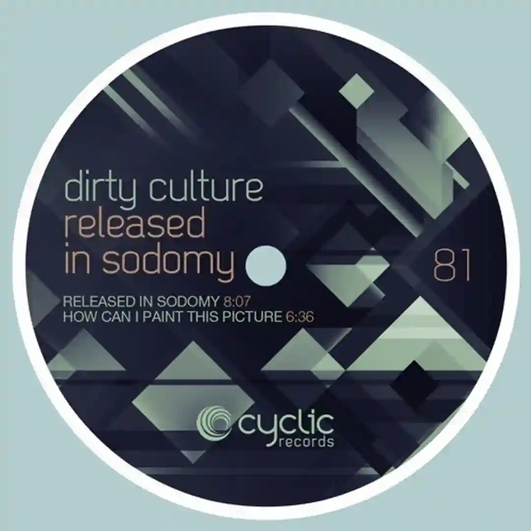 Released In Sodomy cover