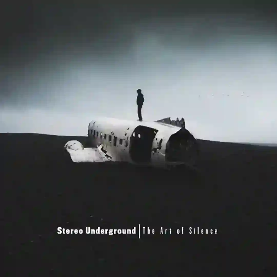 The Art of Silence (Original Mix) cover