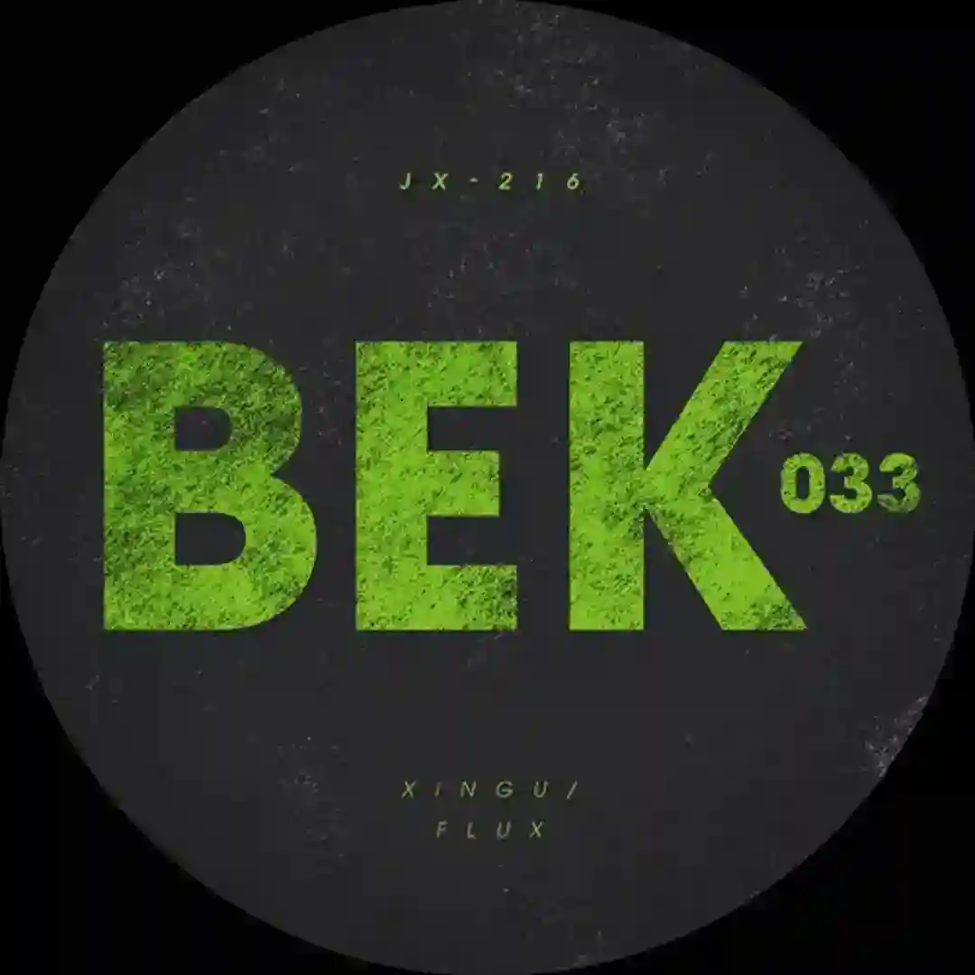 Xingu (Original Mix) cover