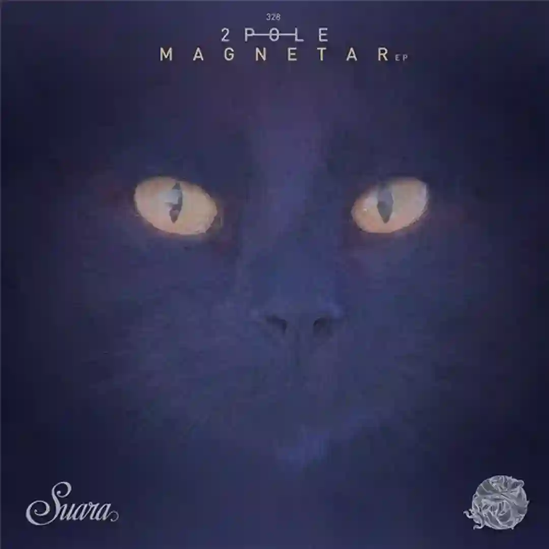 Pulsar (Original Mix) cover