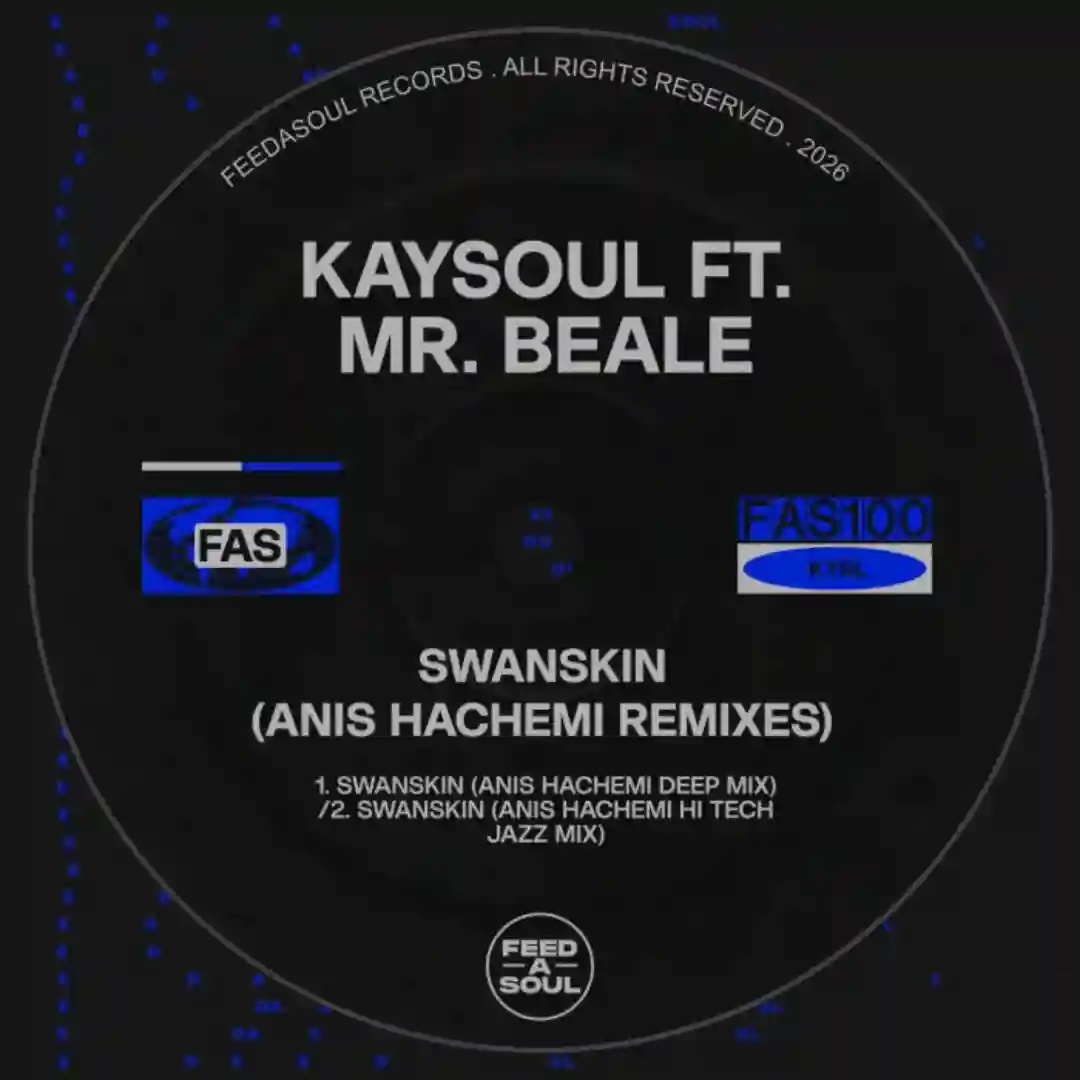 Swanskin (Anis Hachemi Hi Tech Jazz Remix) cover