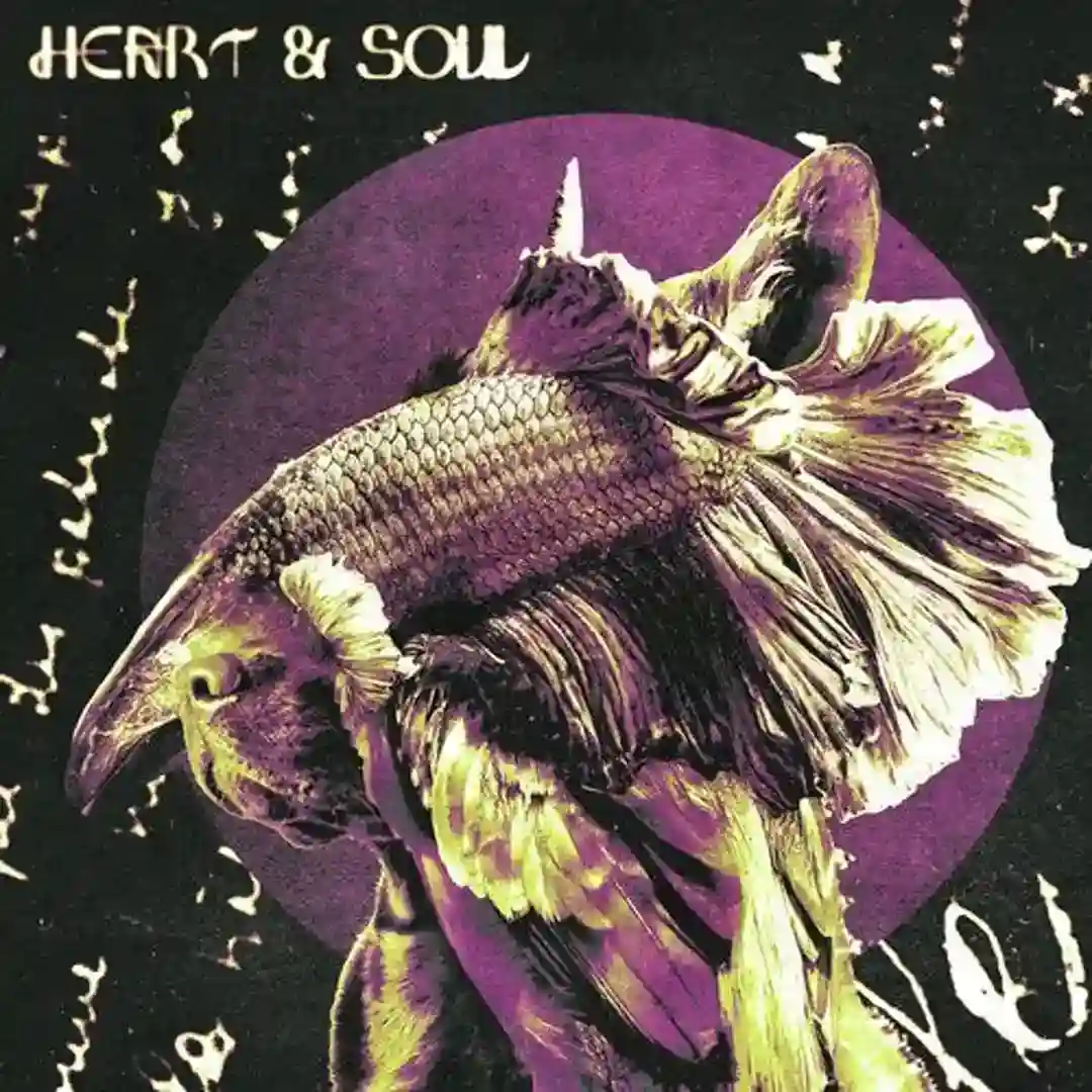 Heart & Soul (Mind over Midi Reshape) cover