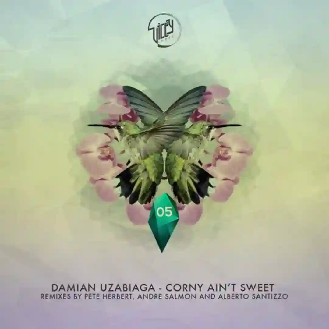 Corny Ain't Sweet (Andre Salmon Kiss My Tool Remix) cover