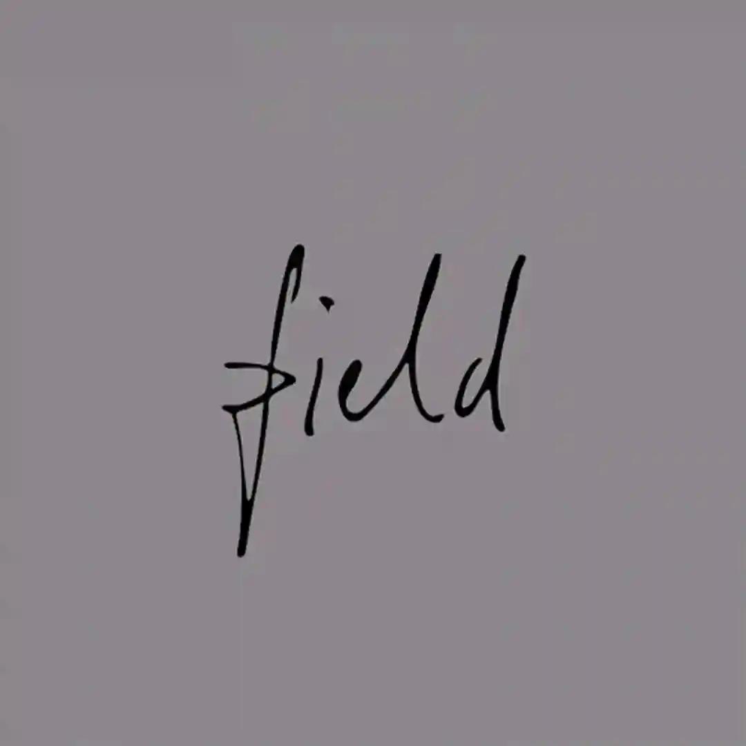 Damn Dark Wind cover