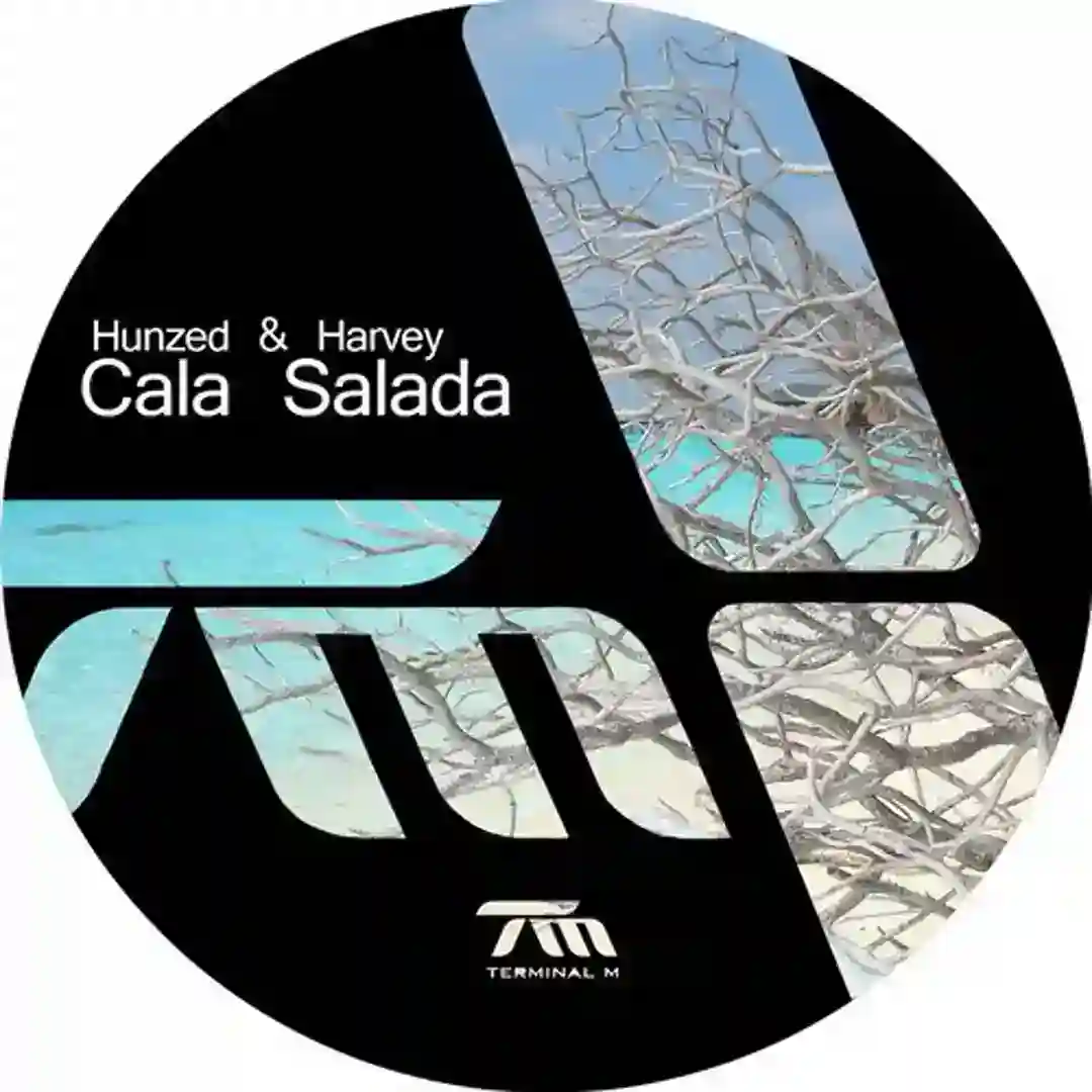 Cala Salada (David Mayer Remix) cover