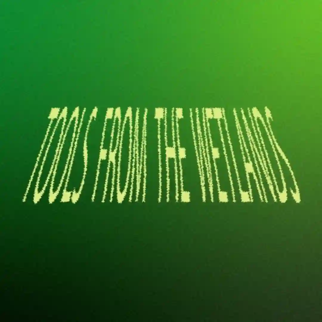 Tools From The Wetlands cover