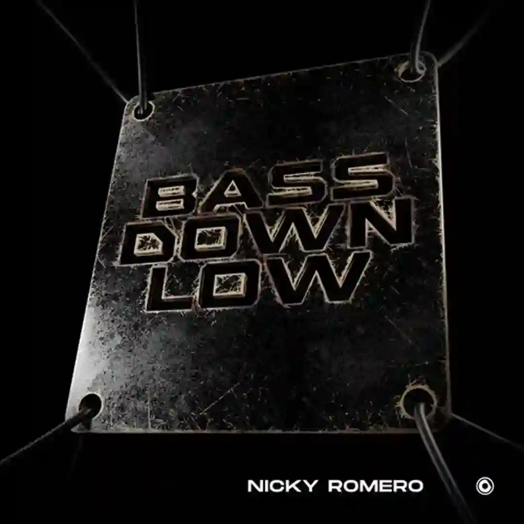 Bass Down Low cover
