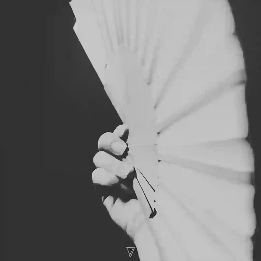 Champagne cover