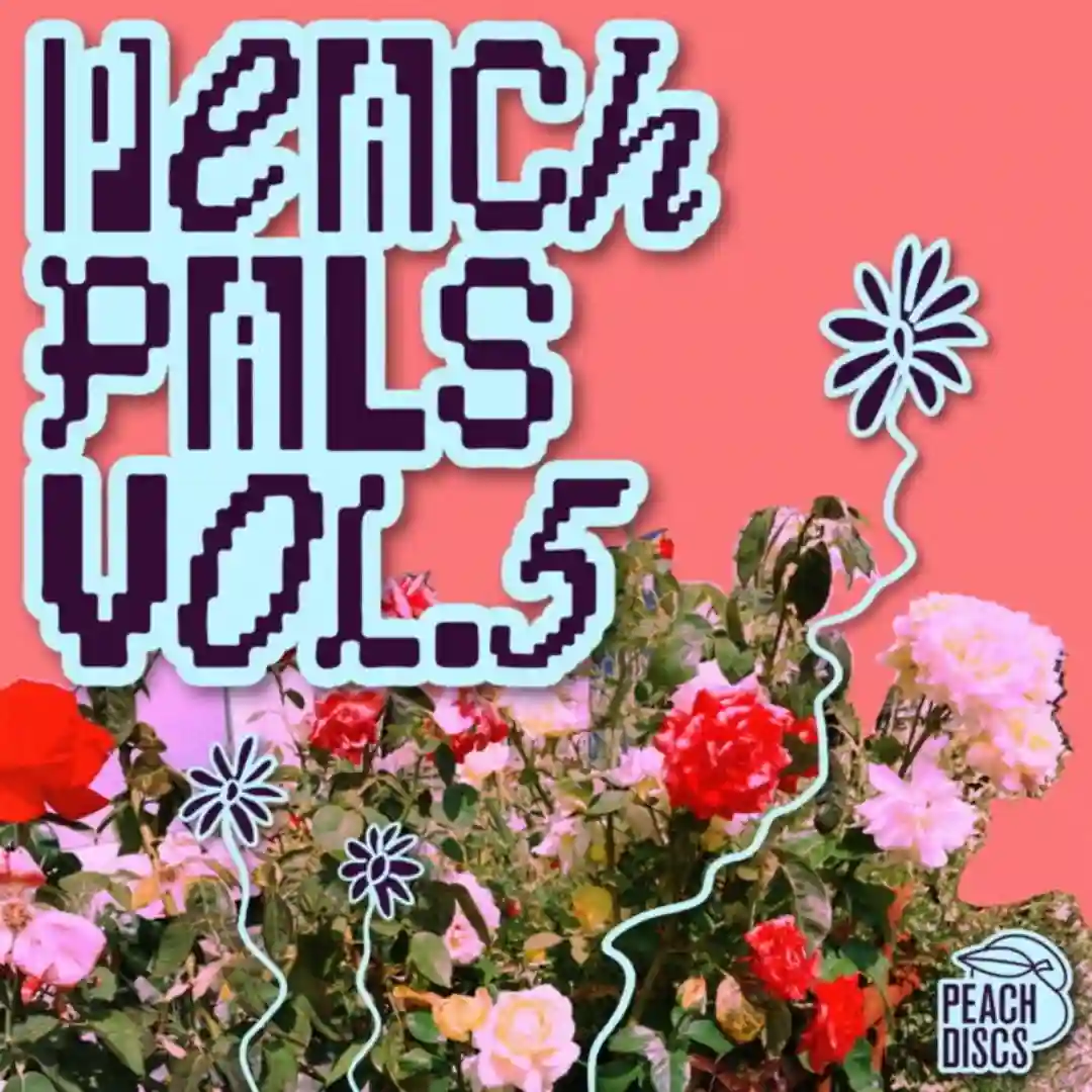 Bring It Back (Original Mix) cover