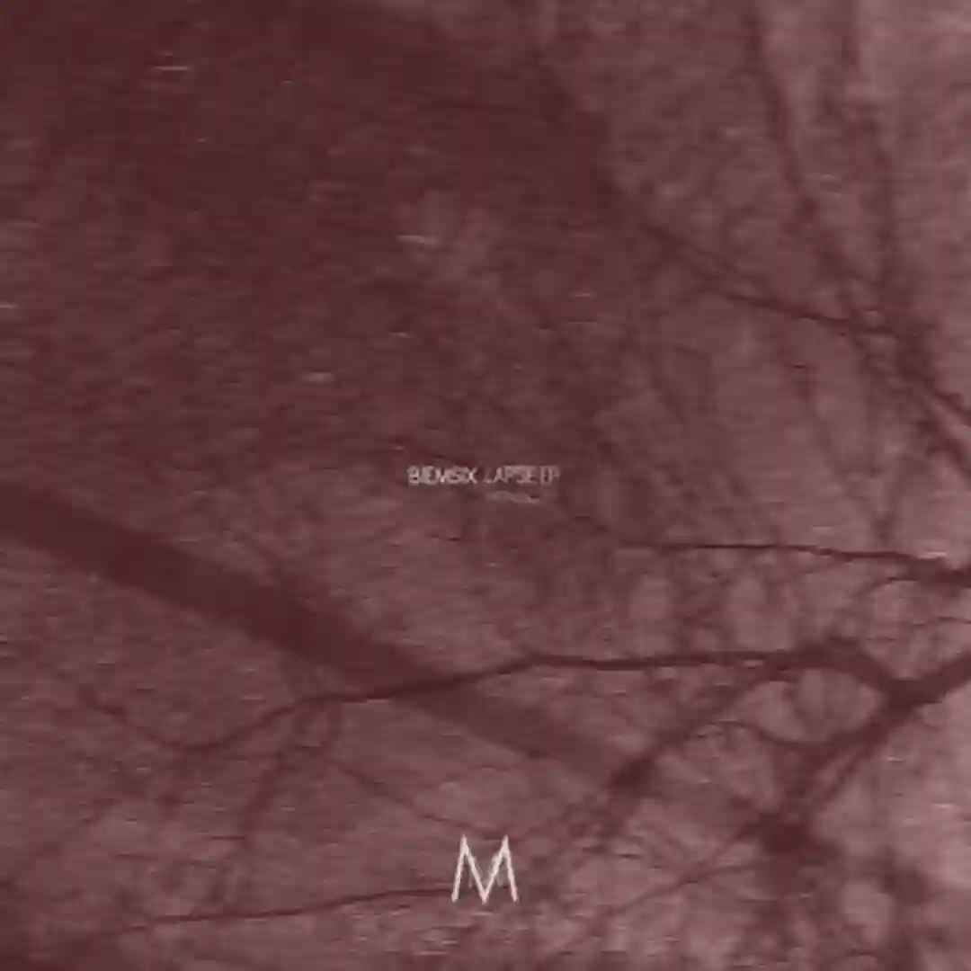 Plane Theory cover