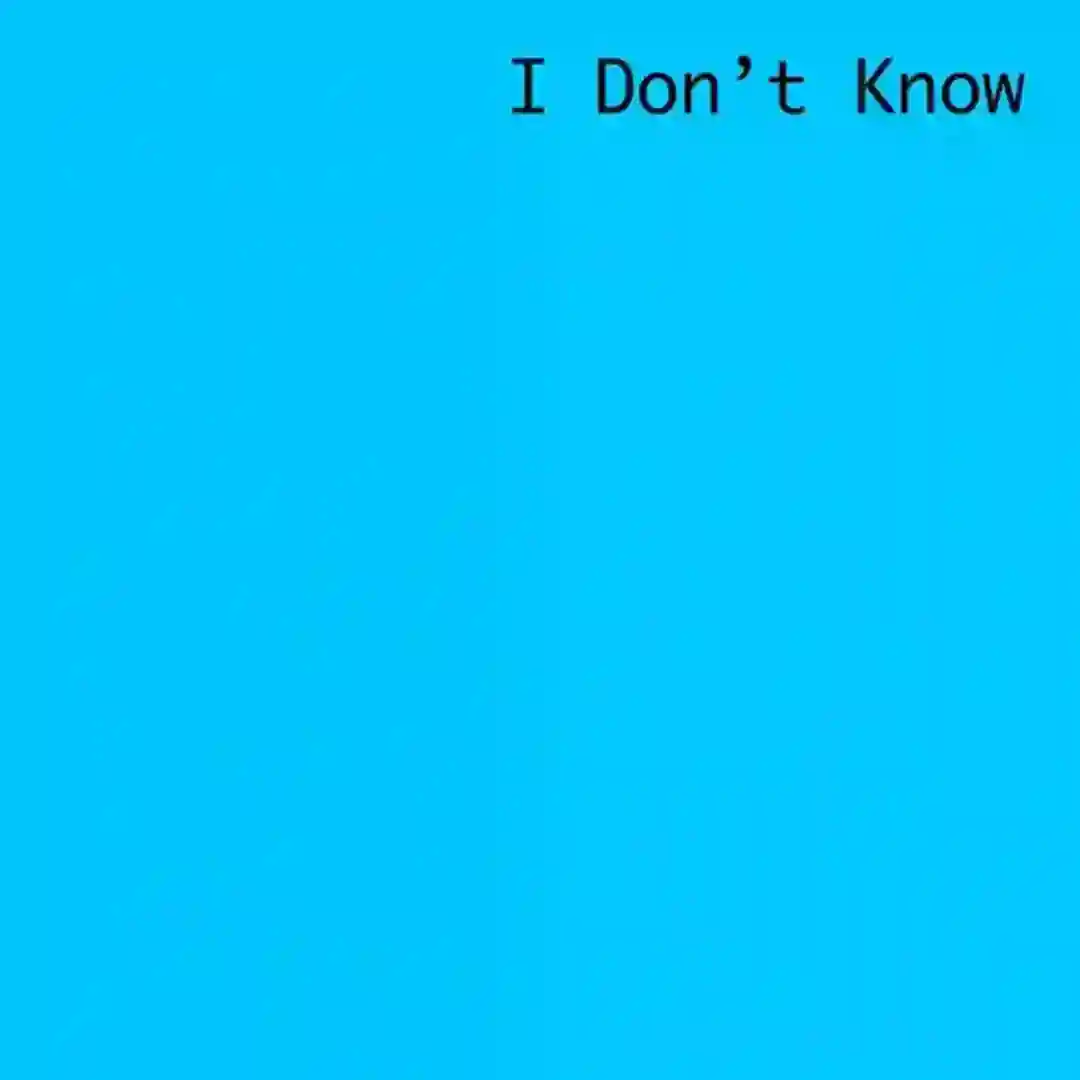 I Don't Know (Acapella) cover