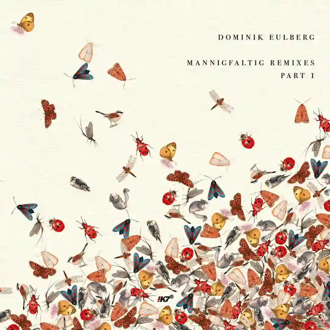 Mannigfaltig Remixes (Pt. 1) cover