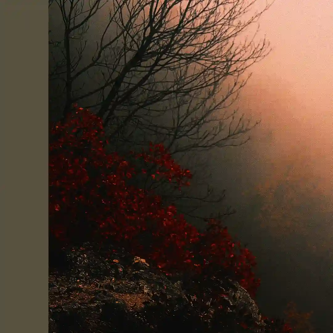 Salicina VIII (Original Mix) cover