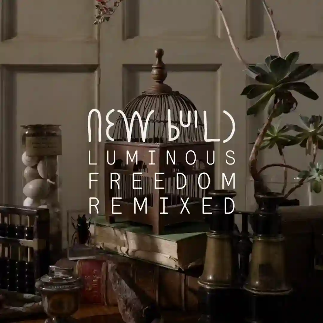 Luminous Freedom (Tim Green Remix) cover