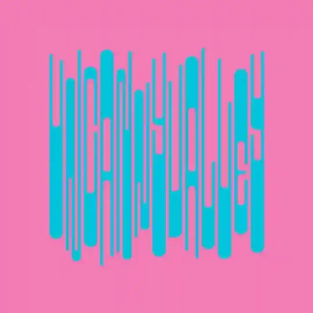 Disco Schlamboni (Original Mix) cover