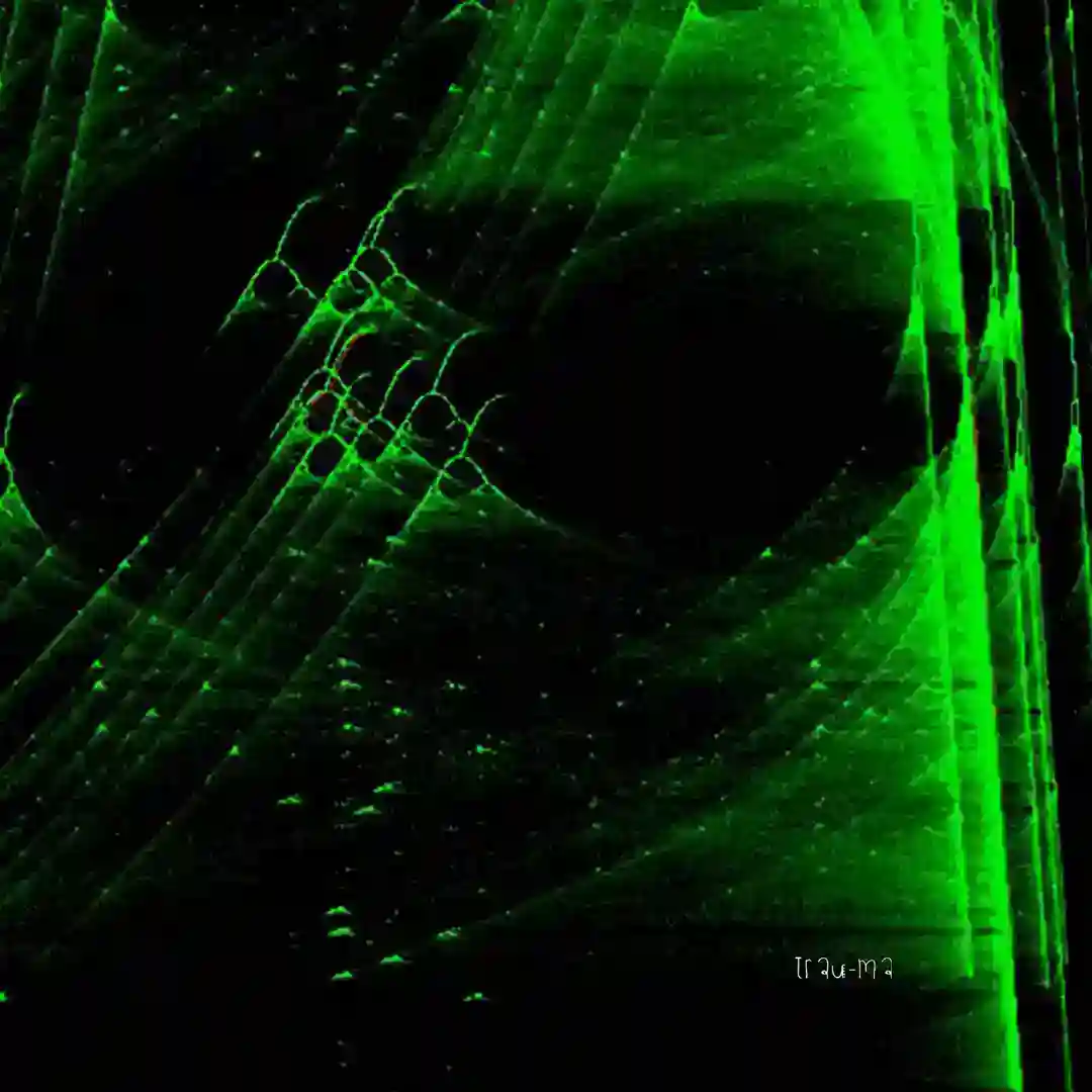 Fizz cover