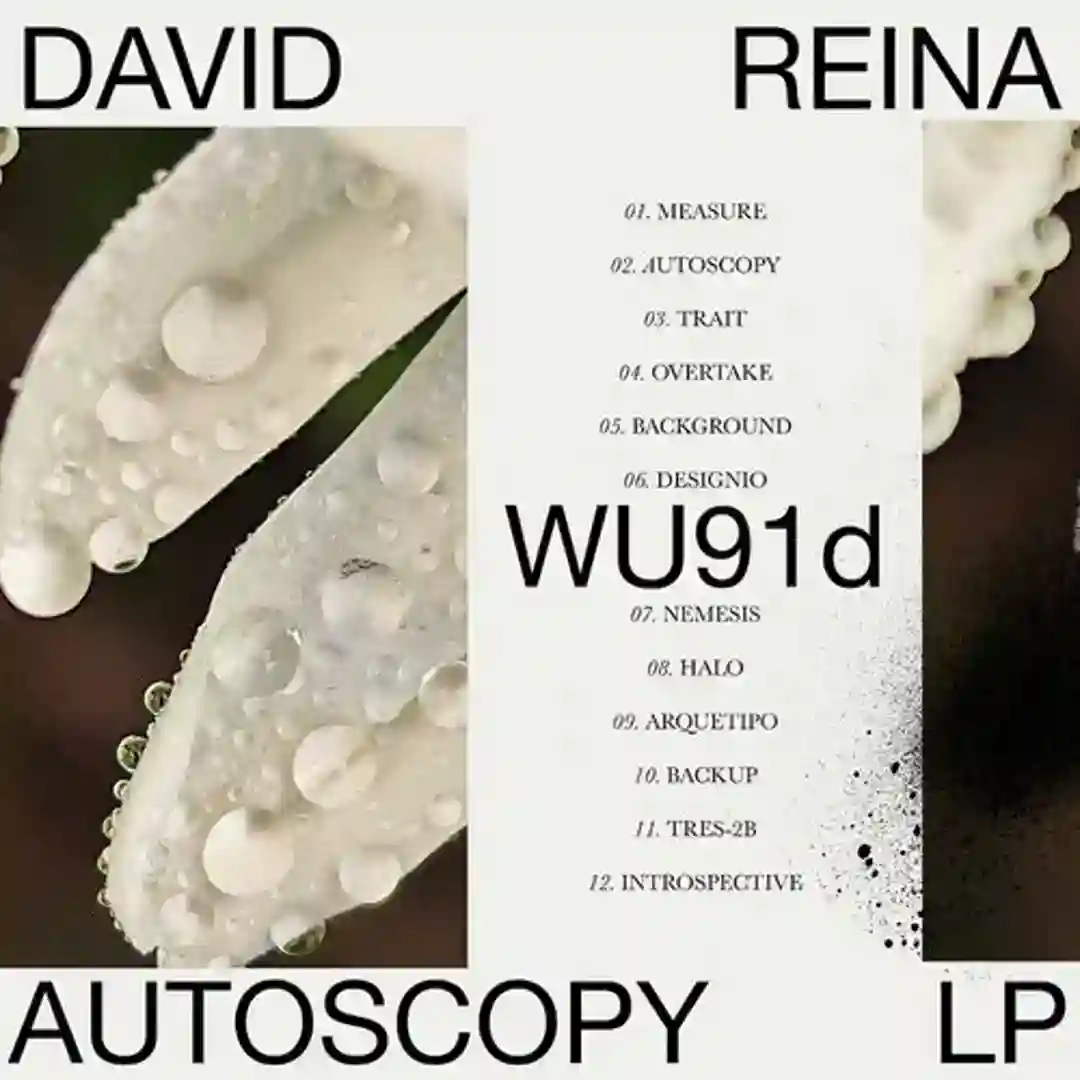 Designio (Original Mix) cover