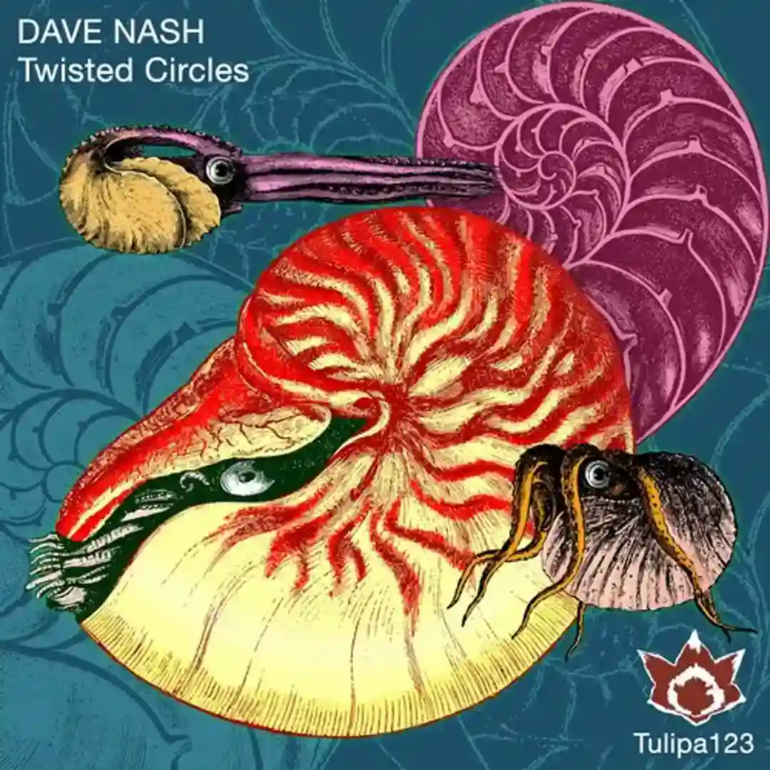 Twisted Circles cover