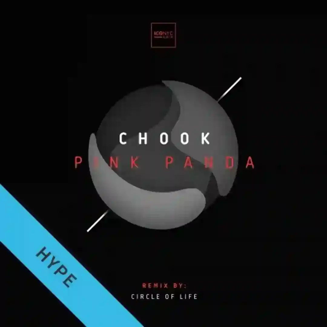 Pink Panda (Circle of Life Remix) cover