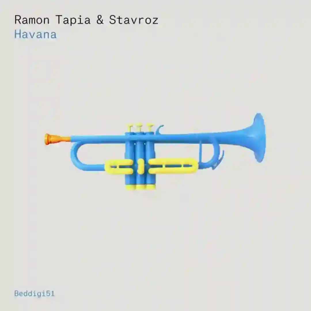 Havana (Original Mix) cover
