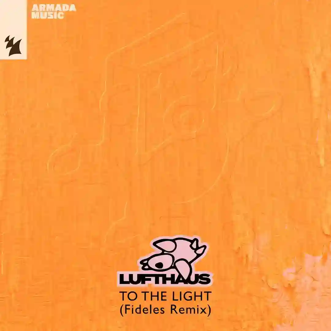 To The Light - Fideles Remix cover