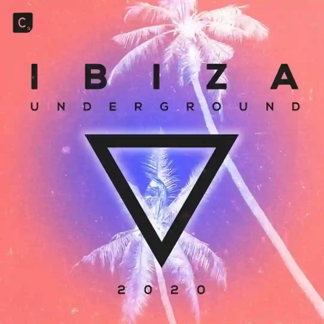 Feel The Vibe (Extended Mix) cover