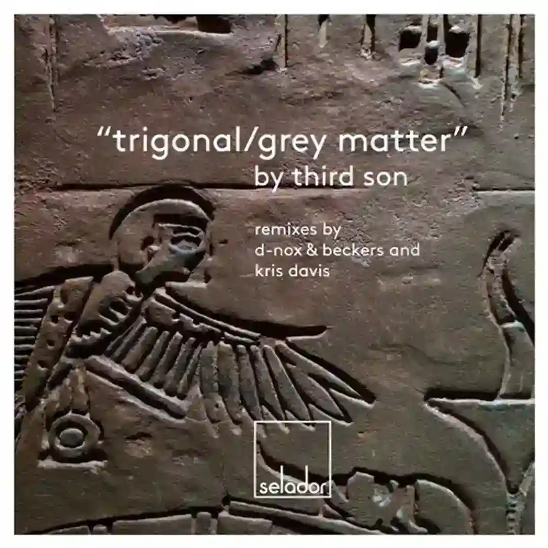 Grey Matter (Kris Davis Remix) cover