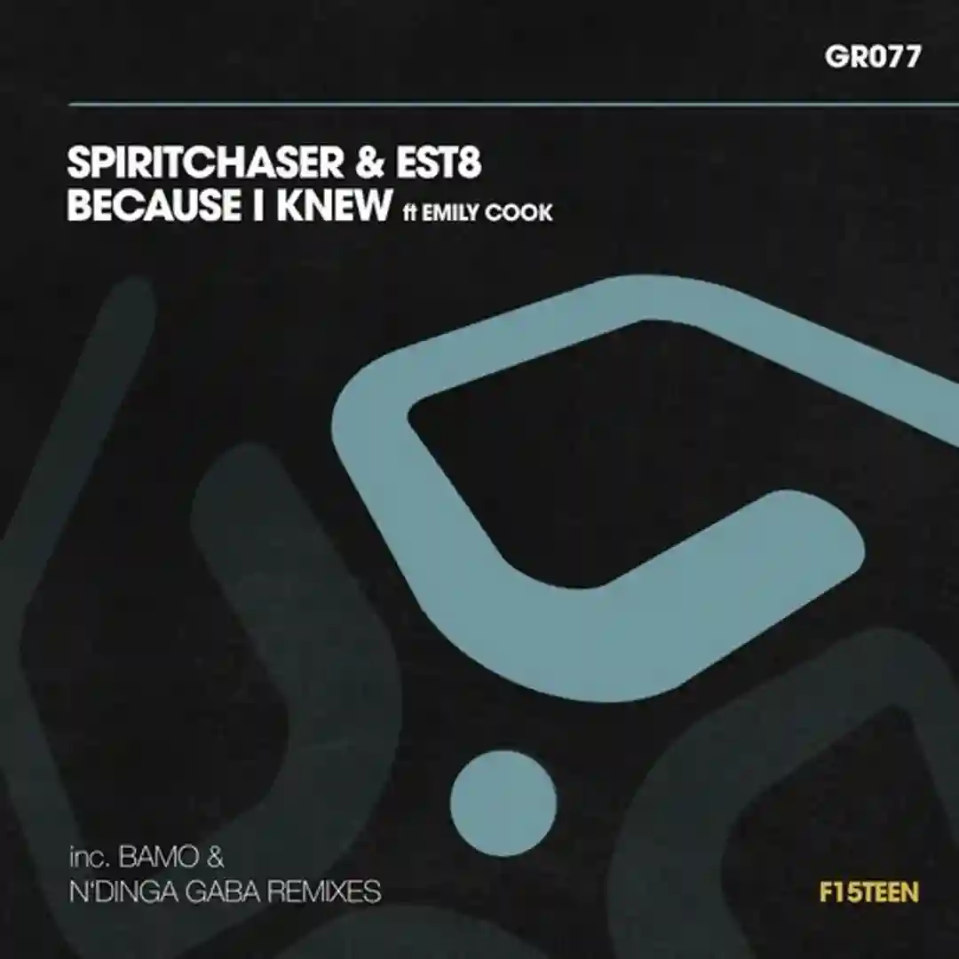 Because I Knew (Spiritchaser Dub Mix) cover