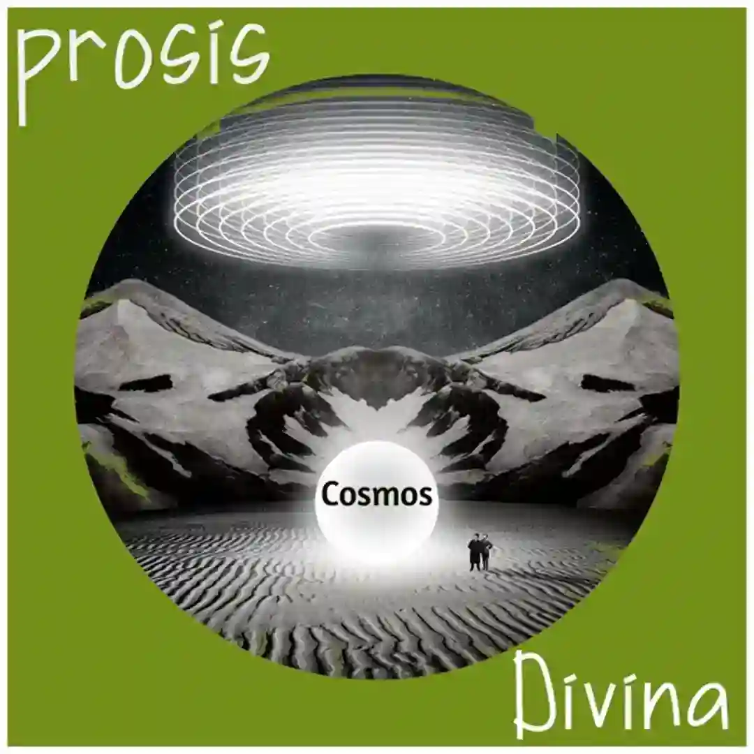 Experience cover