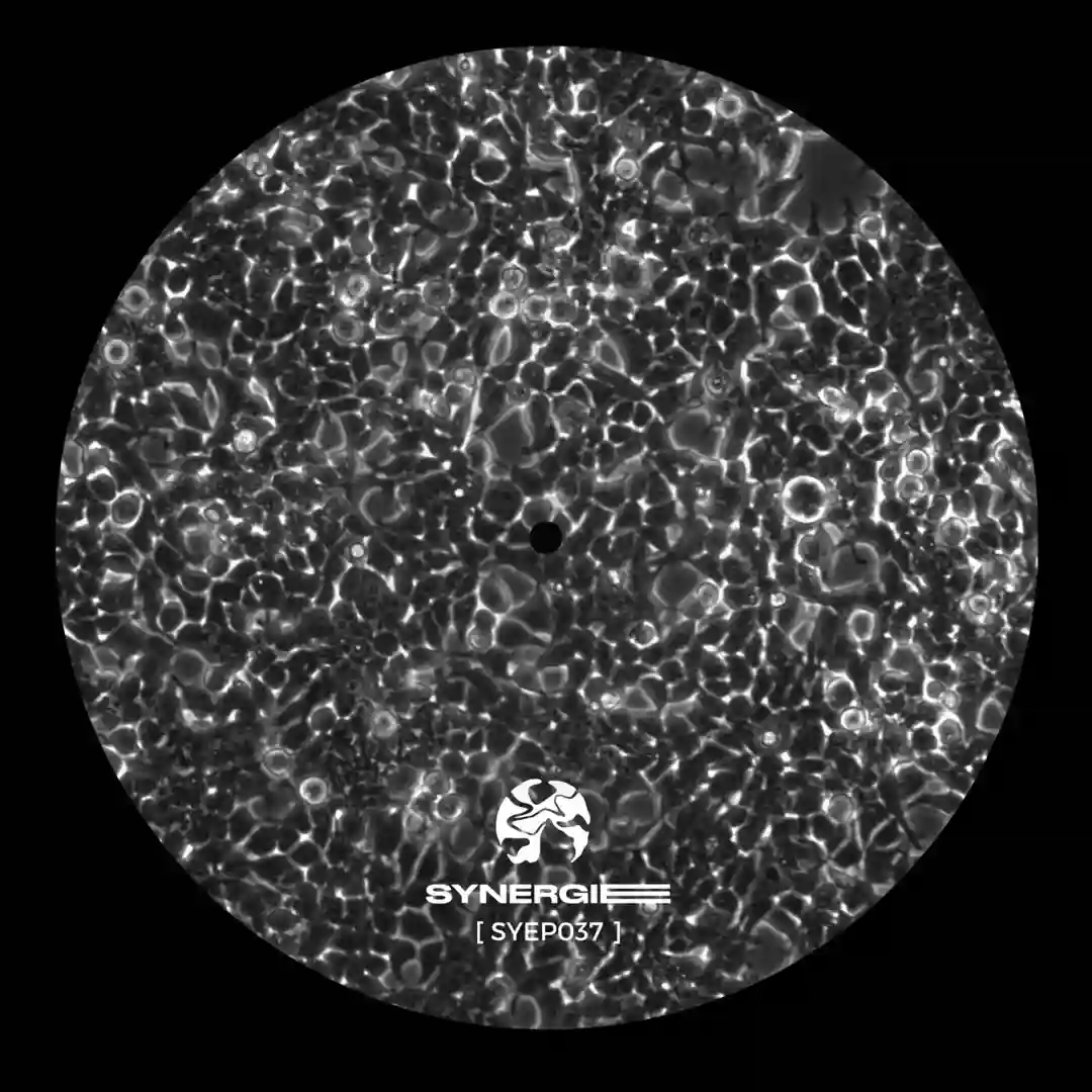 Worn Steps (SYEP037) cover
