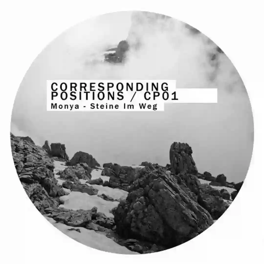 Steine Im Weg (Original Mix) cover