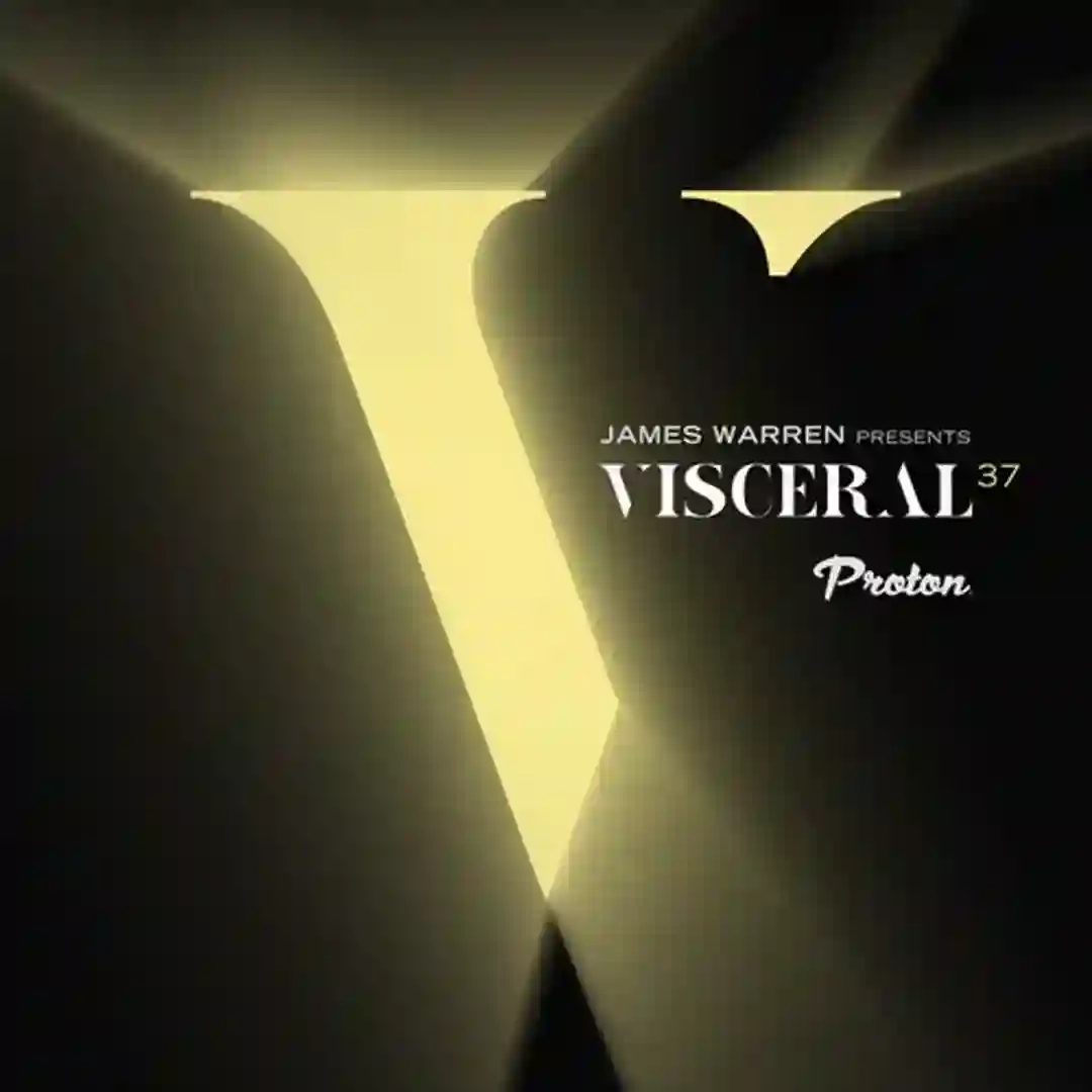 Visceral 037 (Part 2) cover