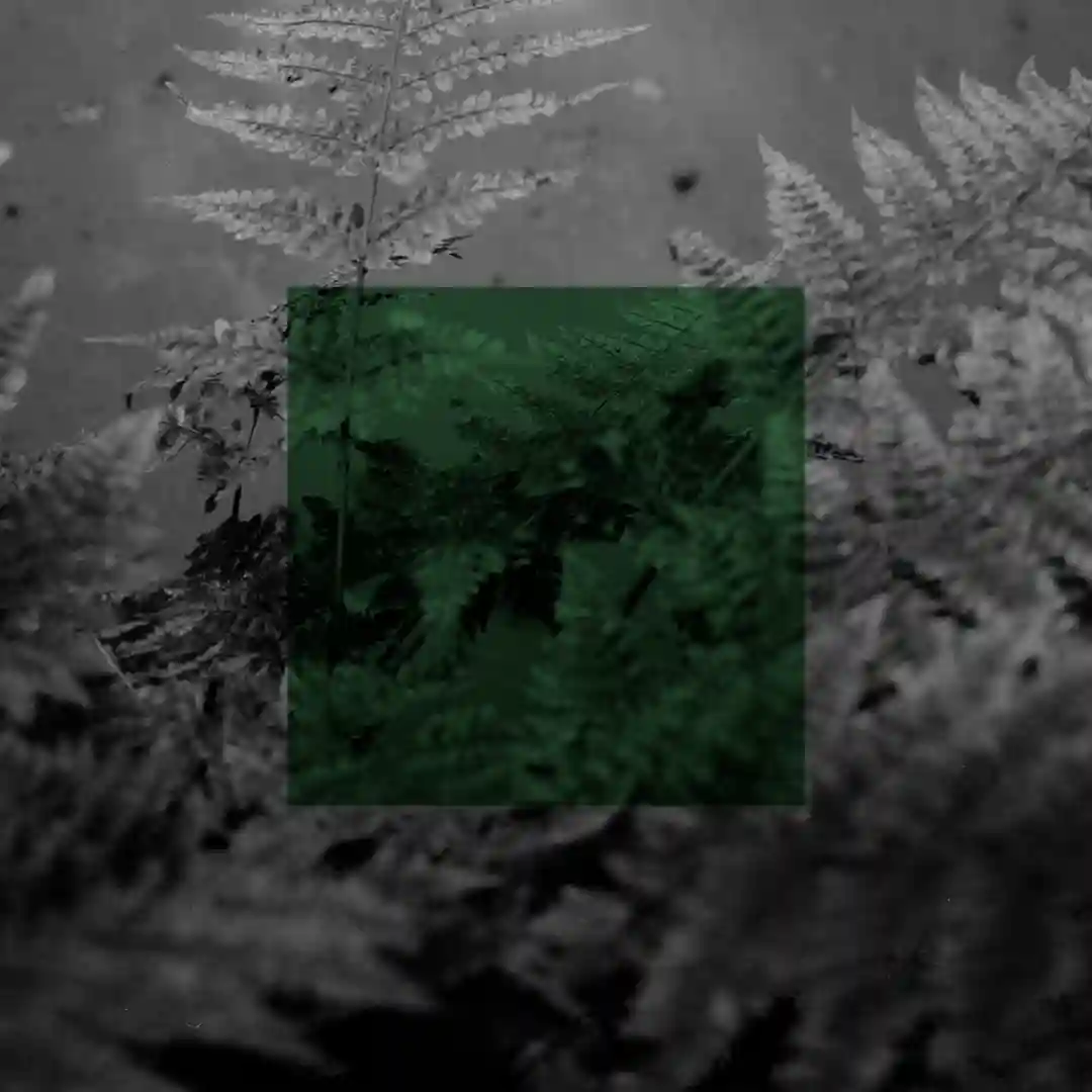 Shade Of Indecision (The Objektz Remix) cover