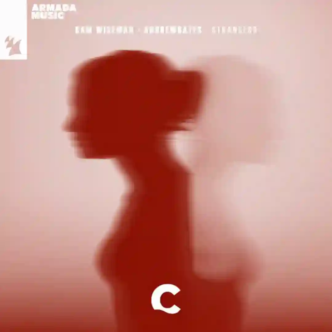 Strangers (Extended Mix) cover