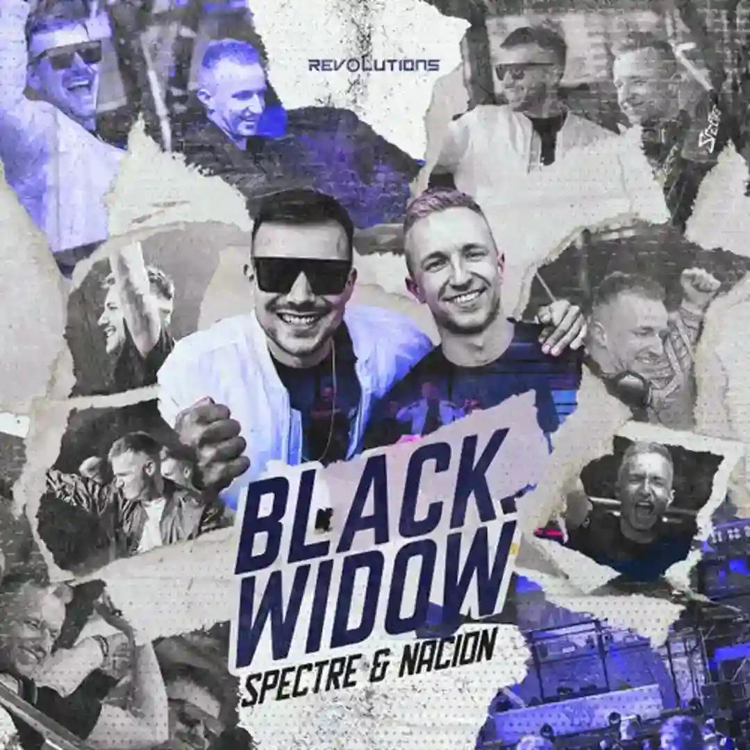 Black Widow (Extended Mix) cover